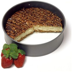 10" Glass Bottom Springform Pan