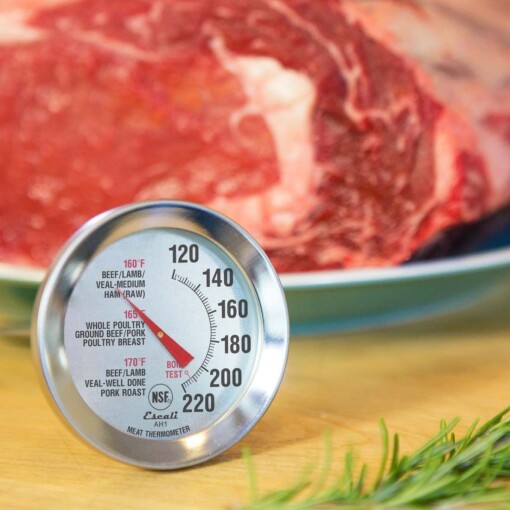 https://www.thepeppermillinc.com/wp-content/uploads/2021/06/ah1-oven-safe-meat-thermometer_lifestyle-1-510x510.jpg