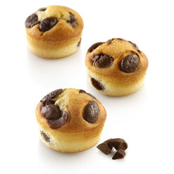 Airplus 13 Professional Mold