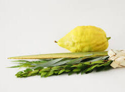 Sukkot