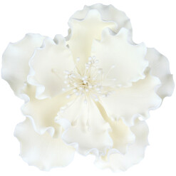 Gumpaste Peonies White 6"