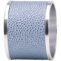 Napkin Ring Skate Ice Blue Set Of 4