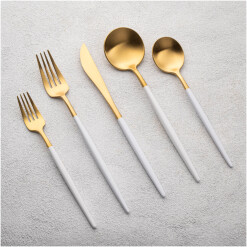 Flatware Vikko Vera Gold With White Handle 20 Pc Set