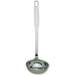 Sleek Ladle Stainless Steel